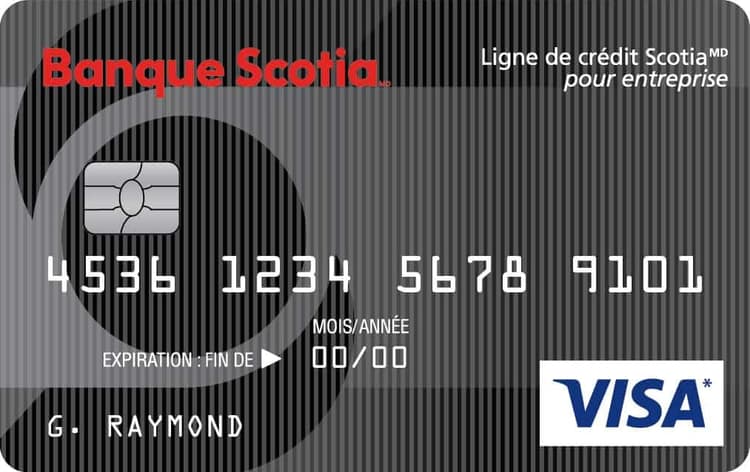 Carte Visa Ligne de crédit Scotia pour entreprise